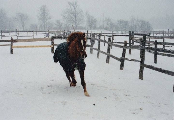 Five Tips to Avoid Winter Weight Loss