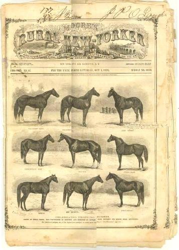 The virtues of Camelina: Hot topic of the week in rural New York, 1864