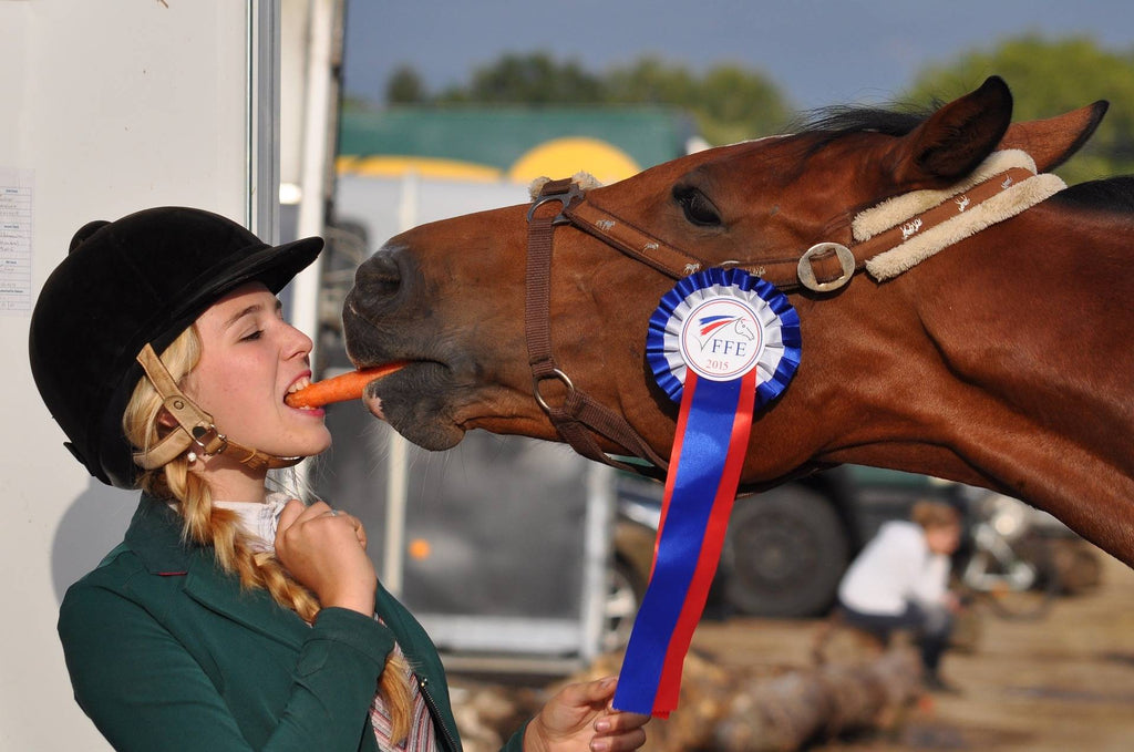 Mental Health & The Equestrian: Grounding Techniques for Success!