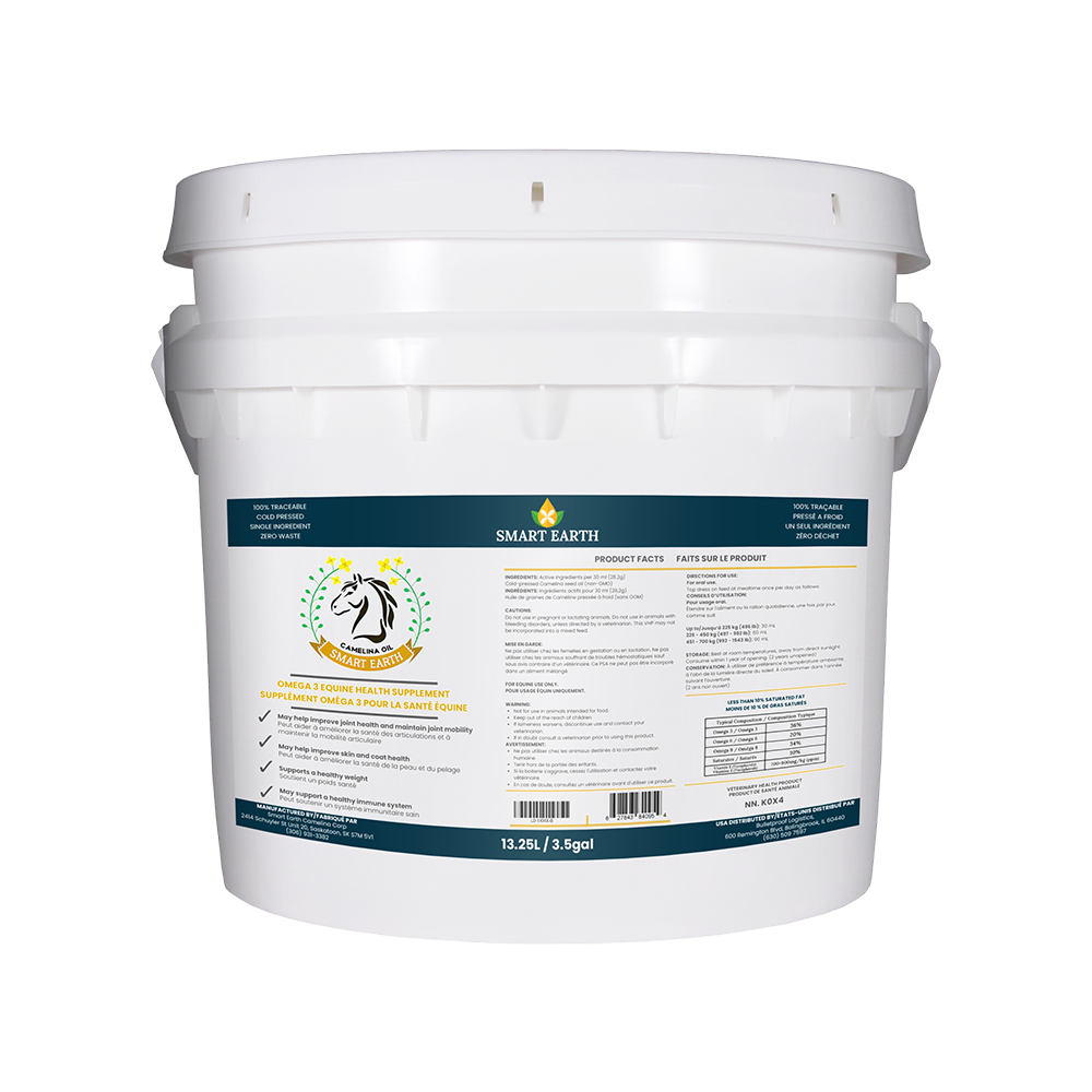 Camelina Oil for Equine - 13.25L Pail