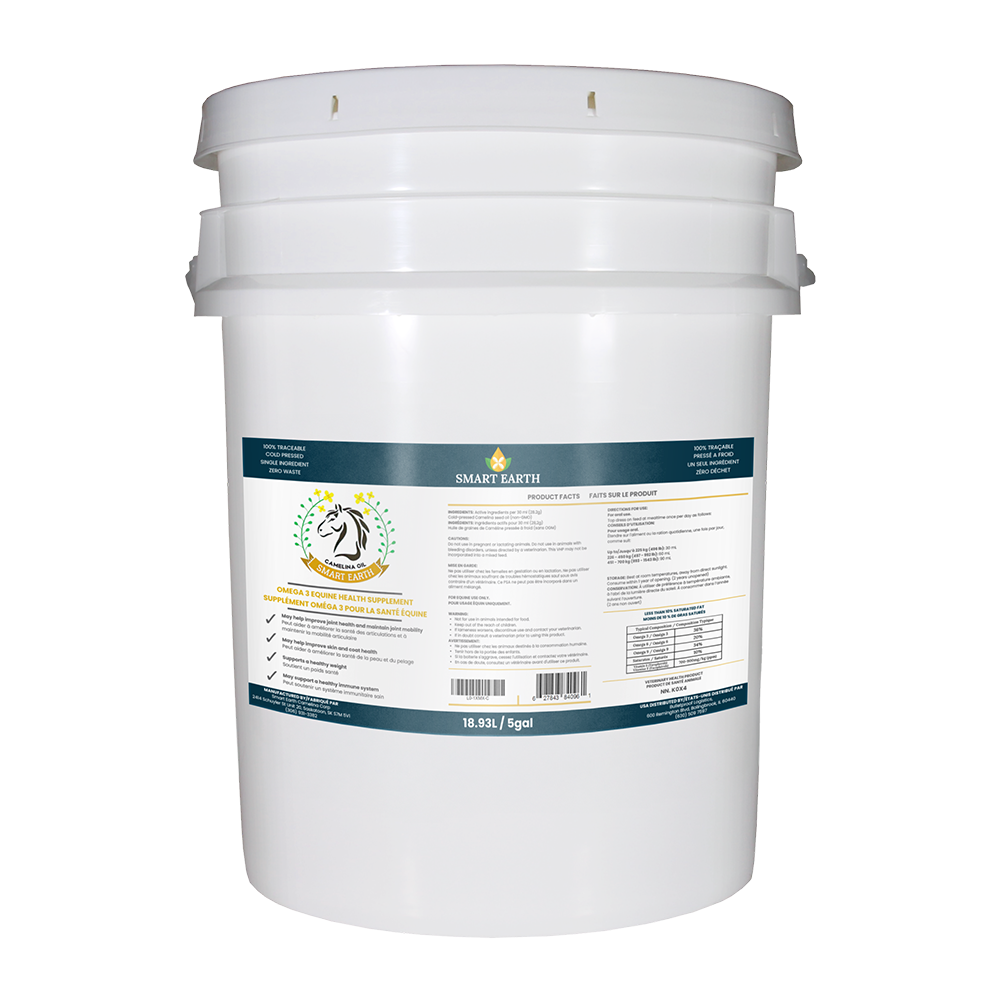 Camelina Oil for Equine - 18.9L Pail