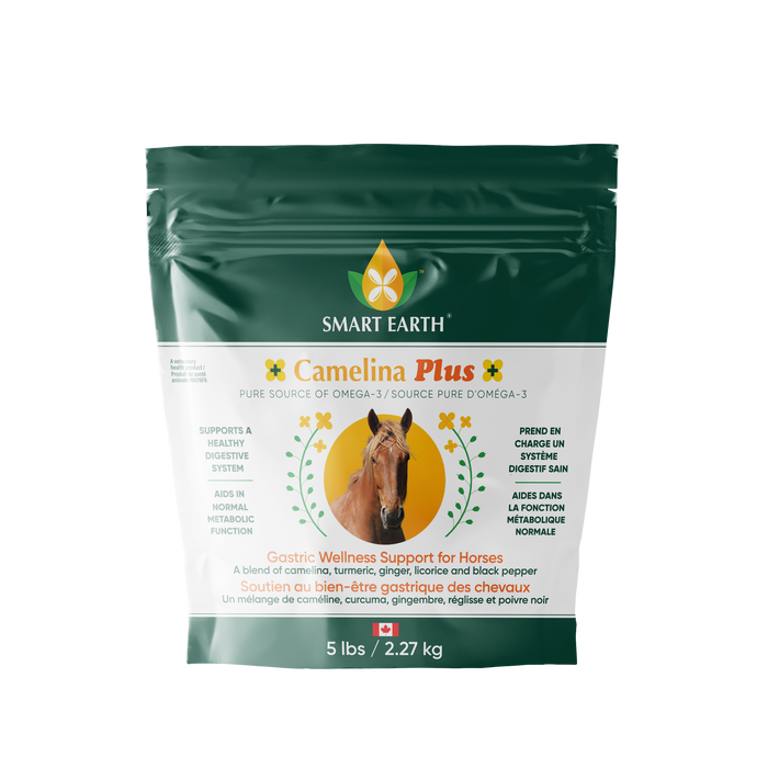 Camelina Plus - Gastric Wellness Support