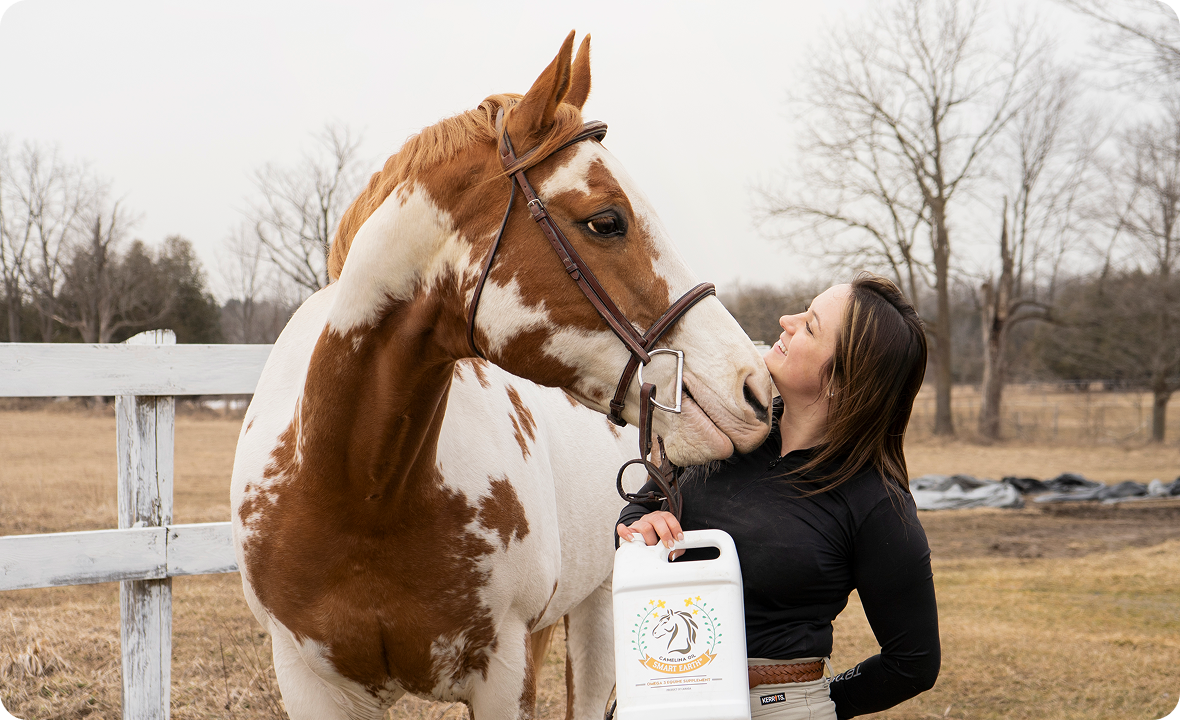 Helps Improve Horse's Moods