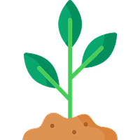 Non-GMO