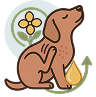 Itch & Allergy Relief