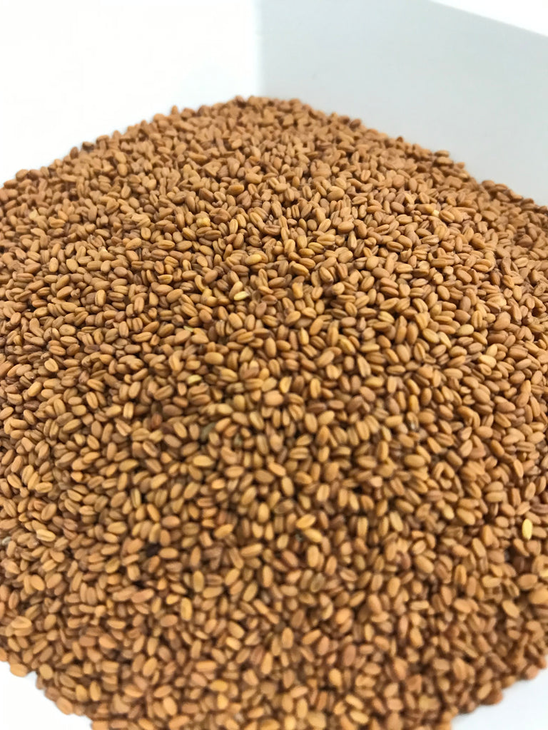Camelina Seed, 50lb bag